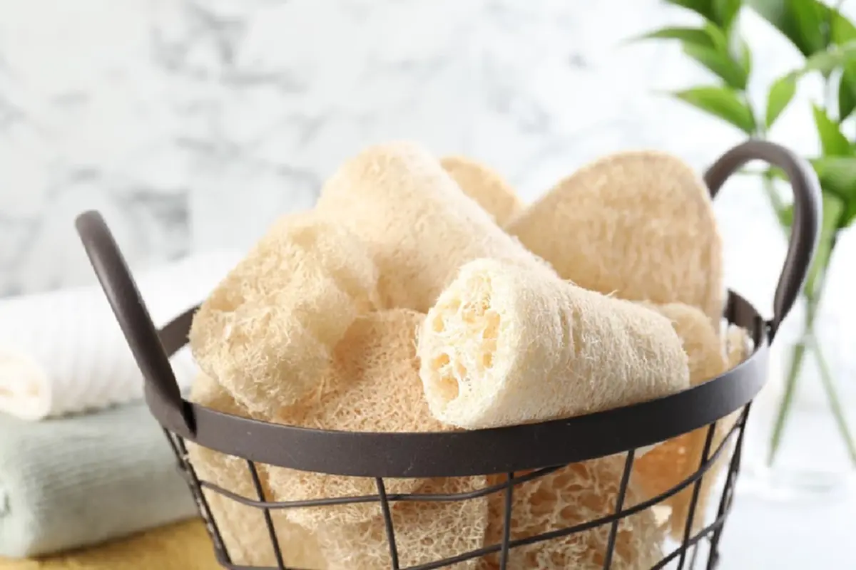 อุปกรณ์อาบน้ำใกล้ตัว เสี่ยงเป็นแหล่งสะสมเชื้อรา อันตรายต่อสุขภาพ