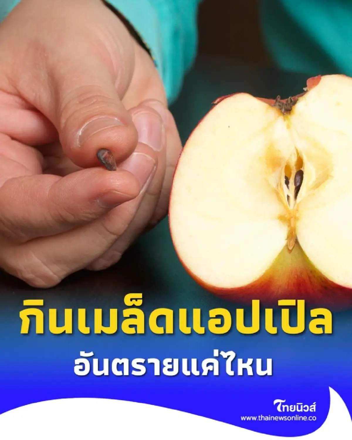 กินเมล็ดแอปเปิลเข้าไปจะเป็นอะไรไหม คำตอบที่คุณอาจไม่เคยรู้