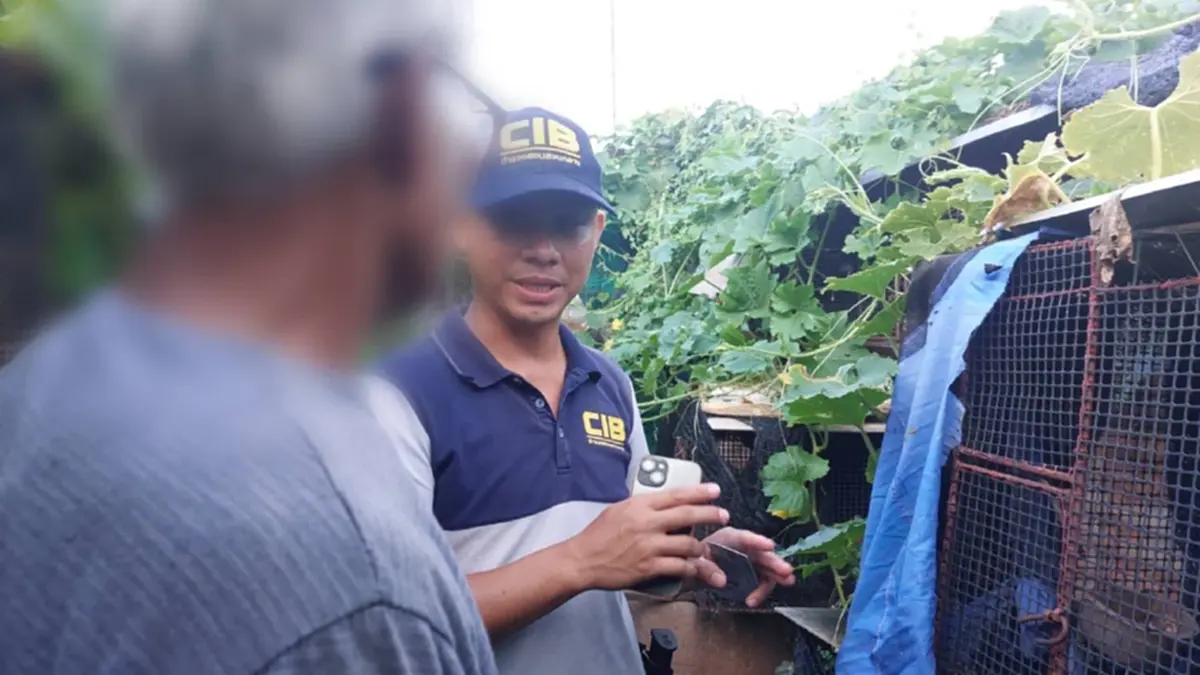 บุกคาบ้าน พ่อค้านกป่าคุ้มครอง ตรวจยึดของกลางได้เพียบ