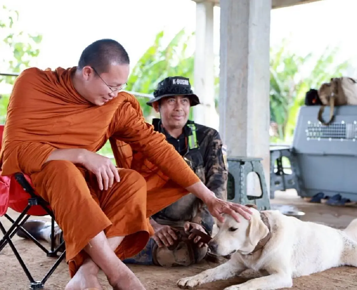 ฮีโร่ 4 ขา K9 สีนวล ช่วย 1 ชีวิตเล็ก ๆ จากเหตุดินถล่มบ้านปางอุ๋ง