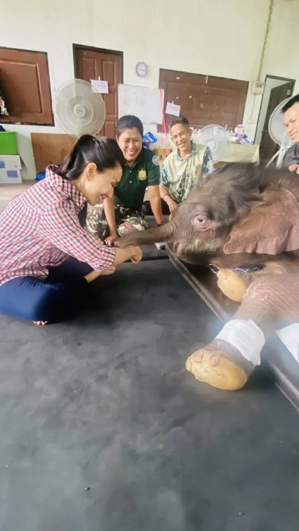 เผยนิสัย น้องข้าวต้ม ลูกช้างพลัดหลง รู้แล้วยิ่งหลงรัก