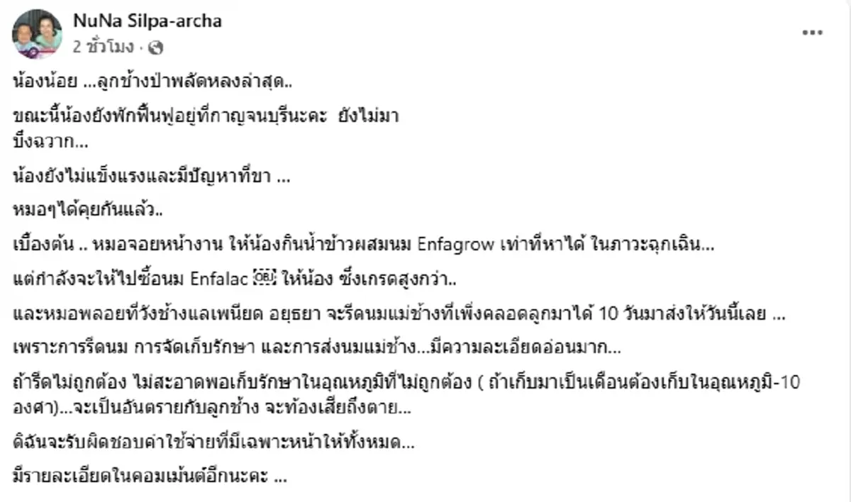 อาการล่าสุด น้องข้าวต้ม ลูกช้างป่าพลัดหลง ย้ายมารักษาที่บึงฉวาก