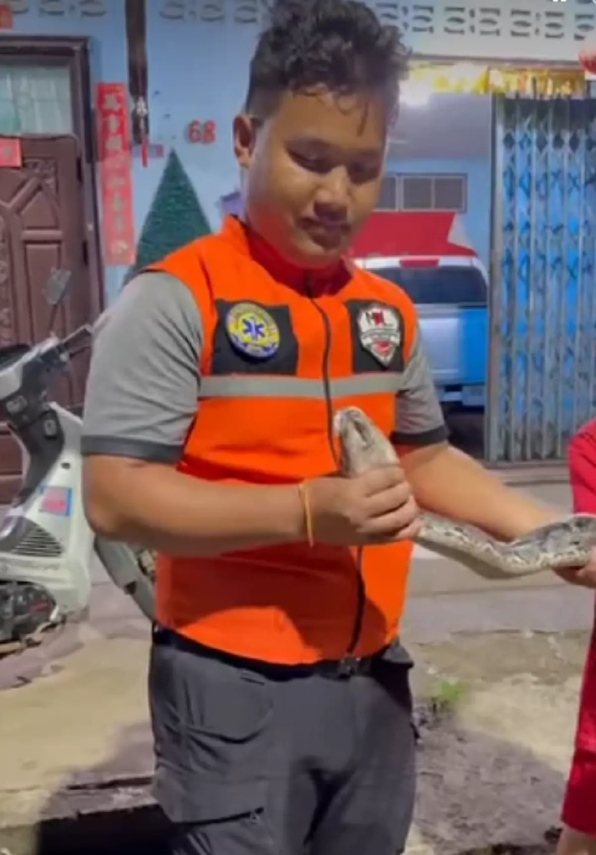 ผวาทั้งบ้าน "งูเหลือม" โผล่เลื้อยขึ้นหิ้งพระ ต่อหน้าต่อตา