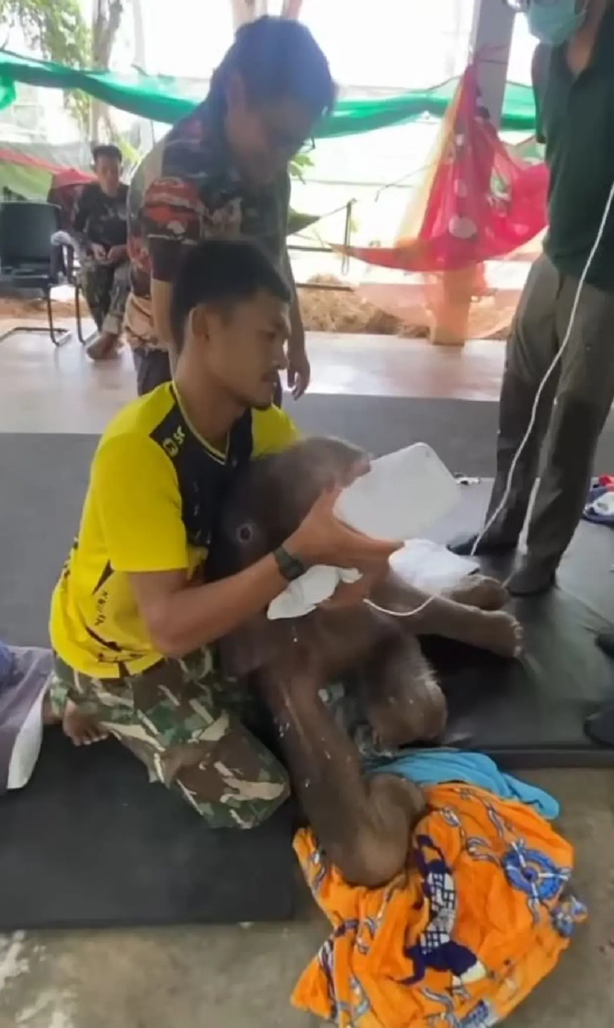 รู้แล้วน้ำตาซึม อัปเดตการรักษา น้องข้าวต้ม ล่าสุดมีข่าวดี