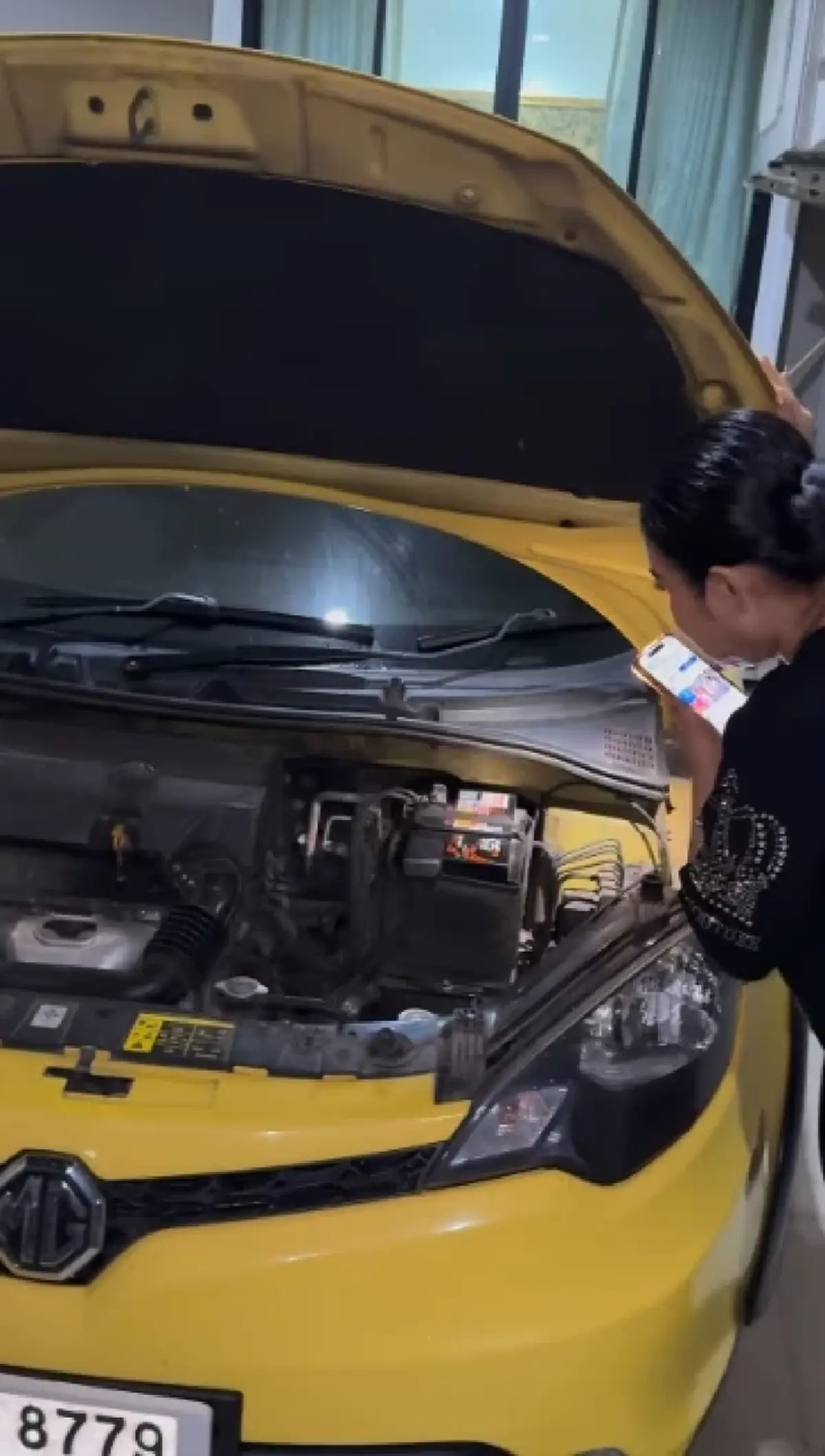 เปิดทะเบียน "ฮาย อาภาพร" แมวคลอดลูกในรถ เห็นแล้วต้องซูมดีๆ