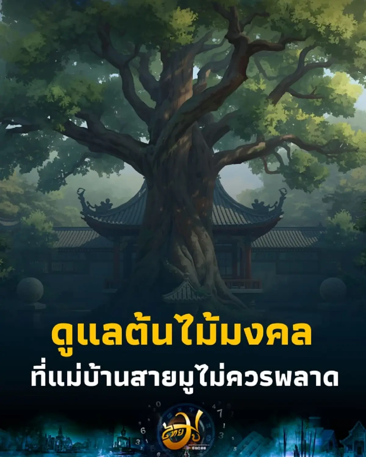 เปิด 5 เคล็ดลับดูแลต้นไม้มงคลให้รุ่งเรือง เสริมโชคลาภตลอดปี