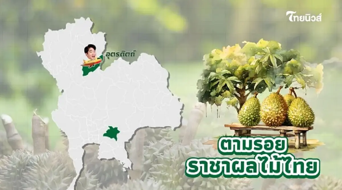 "ทุเรียน"ราชาแห่งผลไม้ไทย กับรหัสลับ GI ที่โลกต้องรู้จัก