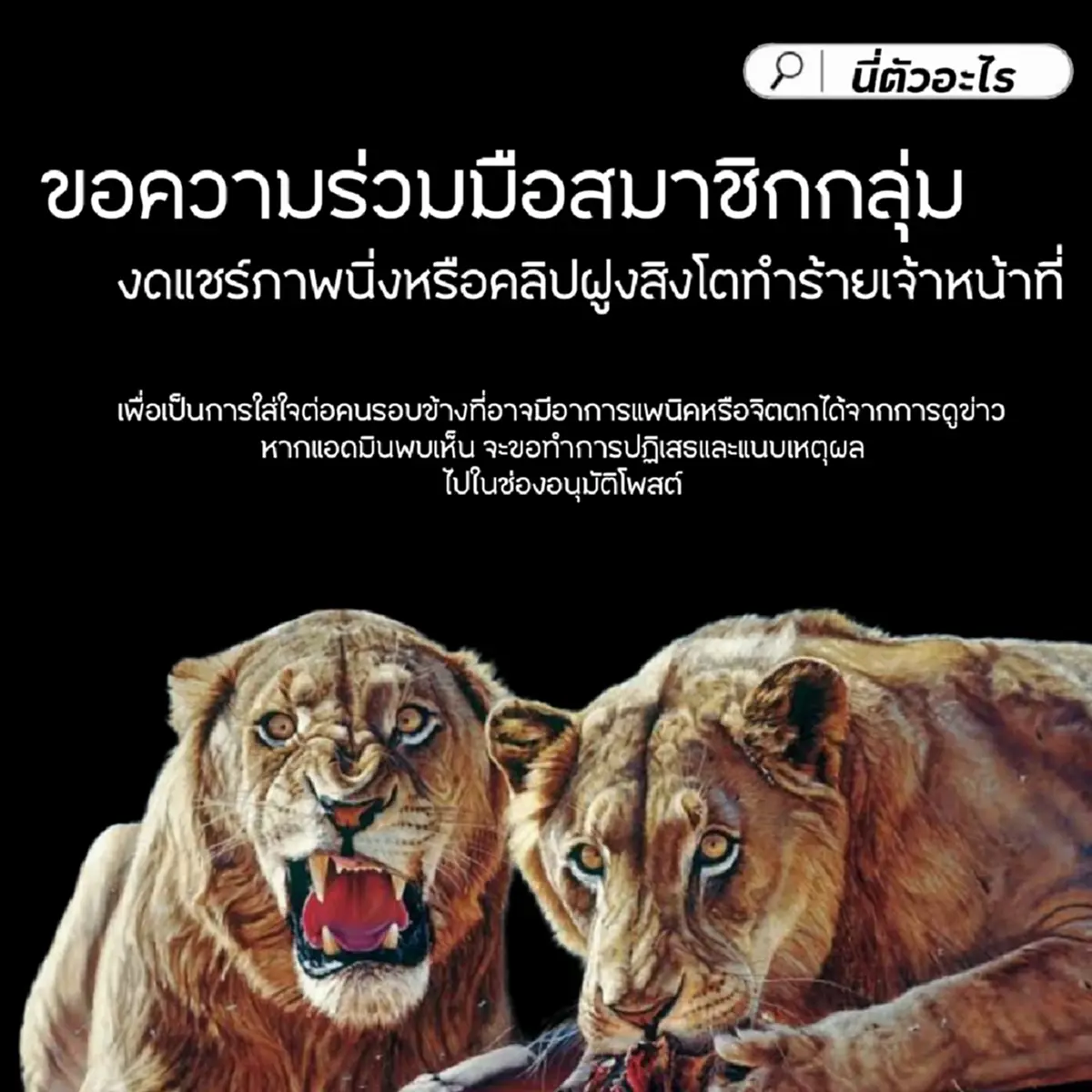 เอาจริง กลุ่มดัง ของดแชร์คลิปสิงโตรุมจนท.วอนอย่าเพิ่งโทษใคร