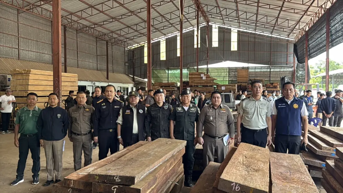 ยึดไม้ประดู่ 14 ล้าน ไม้เถื่อนข้ามชาติ ล่าหัวใหญ่- จนท.รัฐเอี่ยว