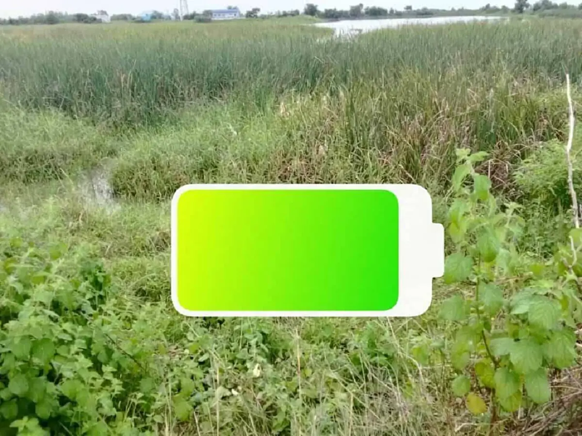 ชาวบ้านพบศพชายเสียชีวิตปริศนา รู้ว่าเป็นใครยิ่งสะเทือนใจ