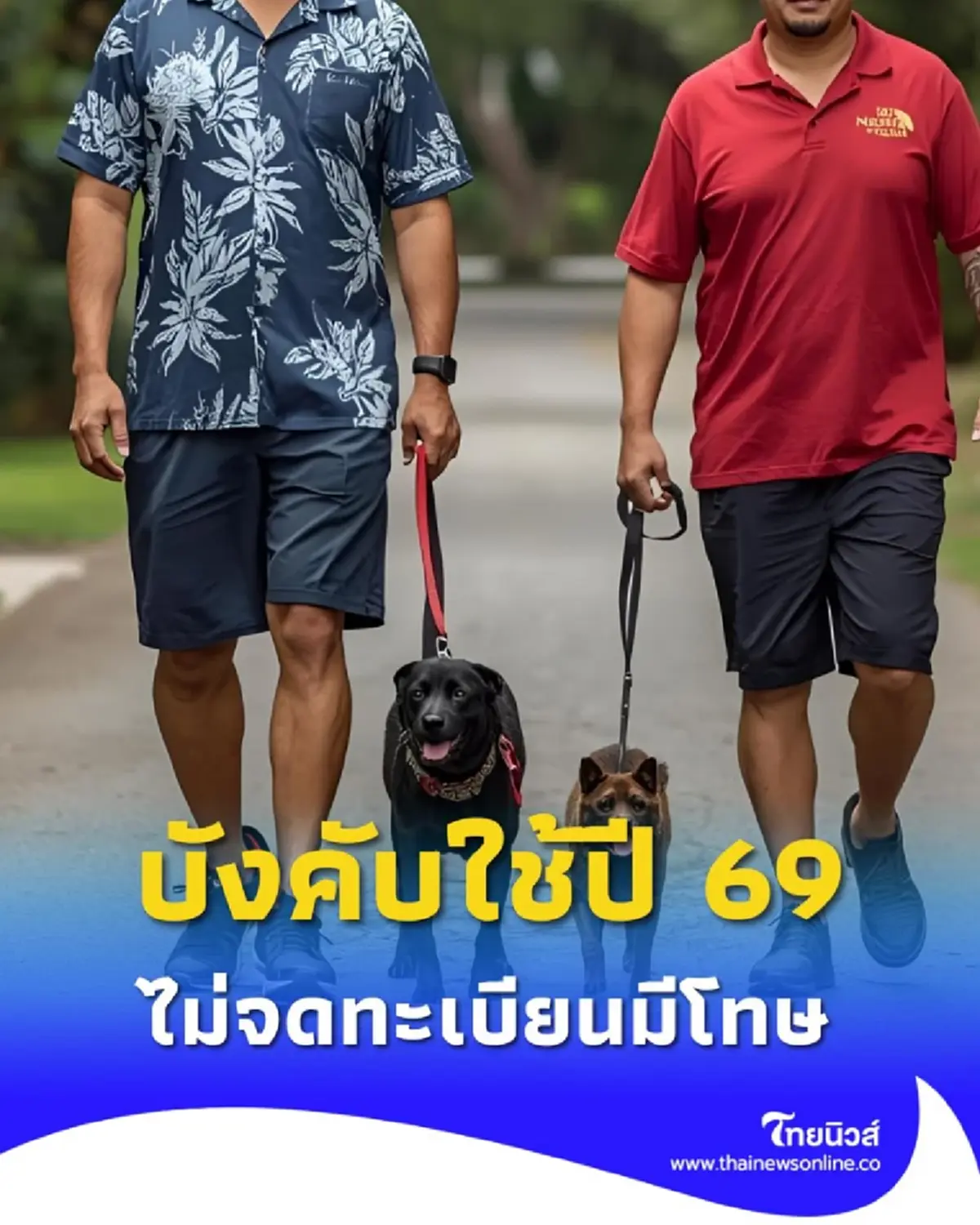 เจ้าของหมา-แมวใน กทม. ต้องรู้ ปี 69 บังคับใช้กฎหมายใหม่ ไม่ทำตามมีโทษ