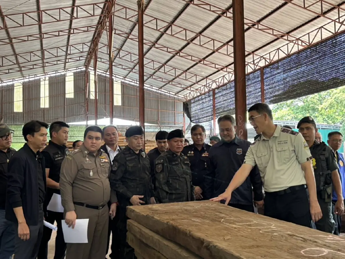 ยึดไม้ประดู่ 14 ล้าน ไม้เถื่อนข้ามชาติ ล่าหัวใหญ่- จนท.รัฐเอี่ยว