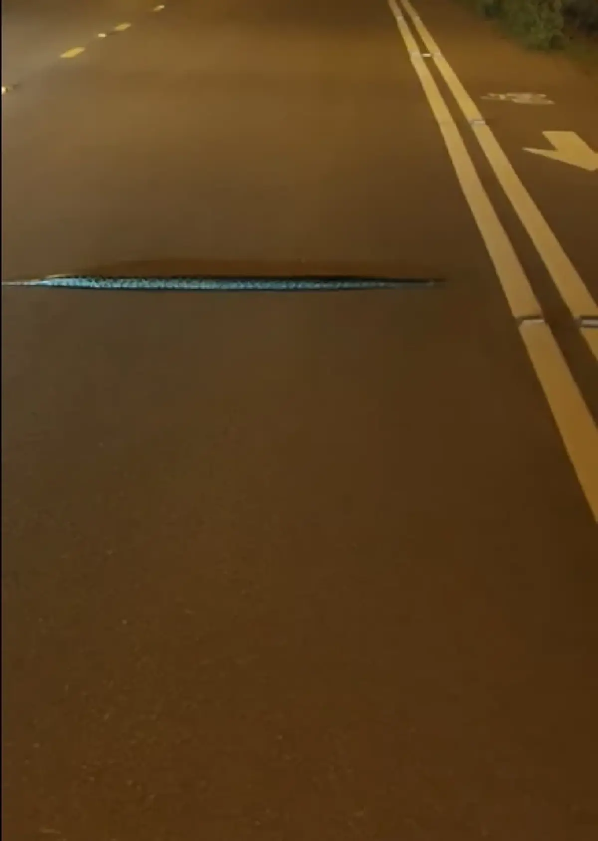 ฮือฮา งูเลื้อยเส้นตรงข้ามถนน ไม่กลัวคนถ่ายคลิป ทะเบียนรถให้โชค