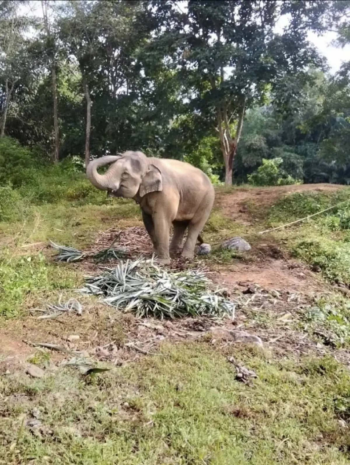 สีดอก้านกล้วย ได้บ้านใหม่แล้ว พร้อมเผยชีวิตต่อจากนี้