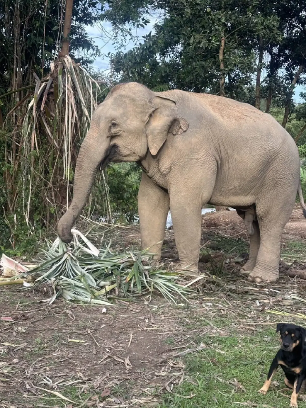 สีดอก้านกล้วย ได้บ้านใหม่แล้ว พร้อมเผยชีวิตต่อจากนี้