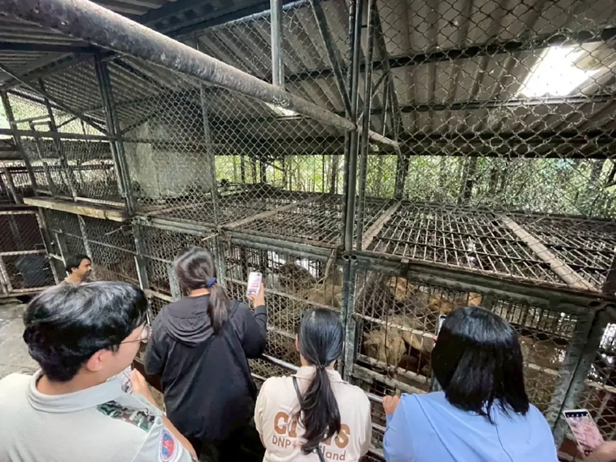 ออกแล้ว ผลตรวจสอบมาตรฐานความปลอดภัย "สวนสัตว์ซาฟารีเวิลด์"