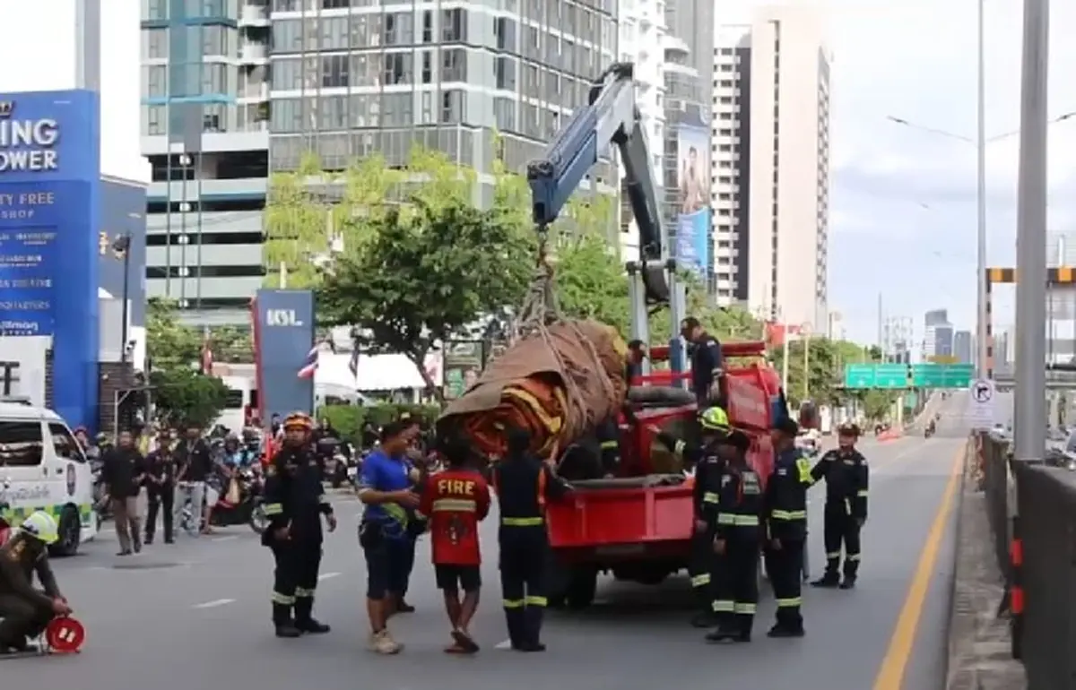 ระทึก ฝรั่งคลั่ง ดิ่งสะพานลอยกลางกรุง หัวโหม่งพื้นสาหัส