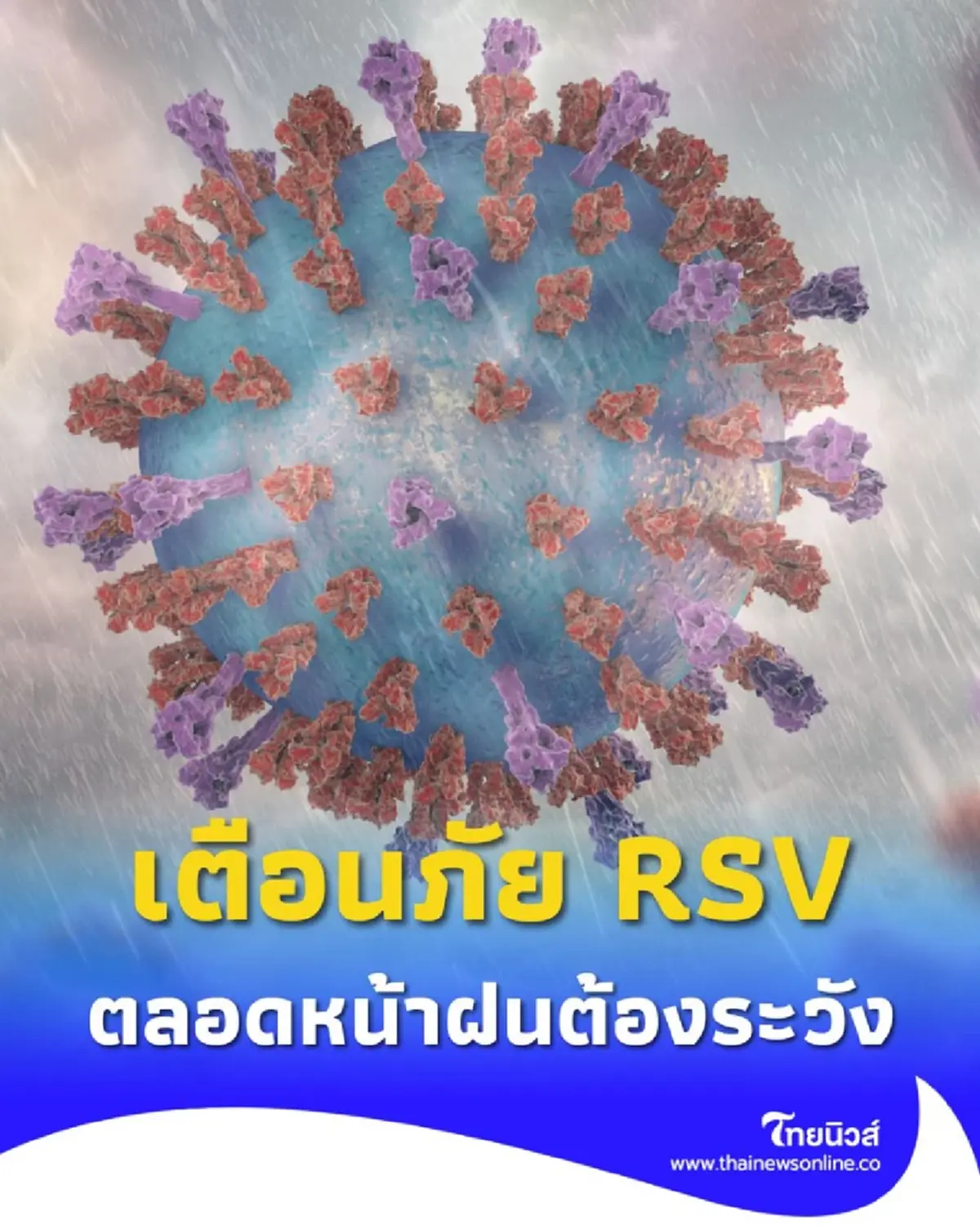 เตือนภัย RSV ทุกหน้าฝน คือช่วงพีคสุด ที่เสี่ยงป่วยหนักจนต้องแอดมิทในโรงพยาบาล