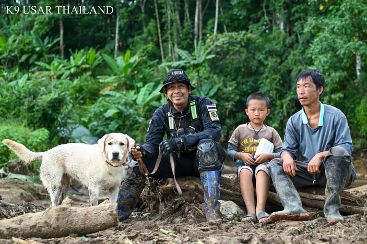 K9 ไม่ท้อ ฝ่าฝนโคลน ลิลลี่-ซาฮาร่า พบร่างผู้สูญหายเพิ่ม