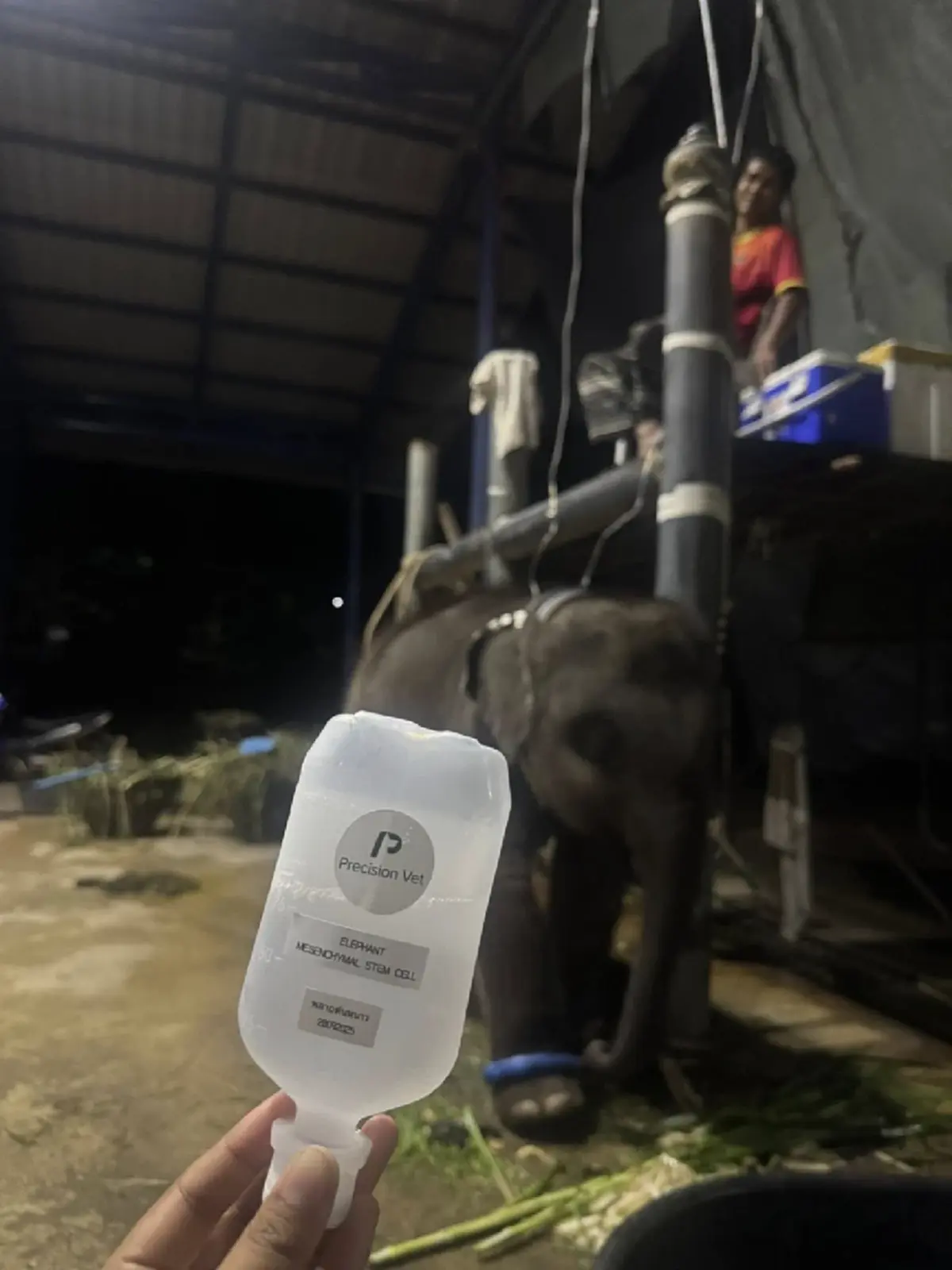 อาการล่าสุด พลายต้นหนาว ยังไม่พ้นขีดอันตราย ร่วมส่งพลังใจ