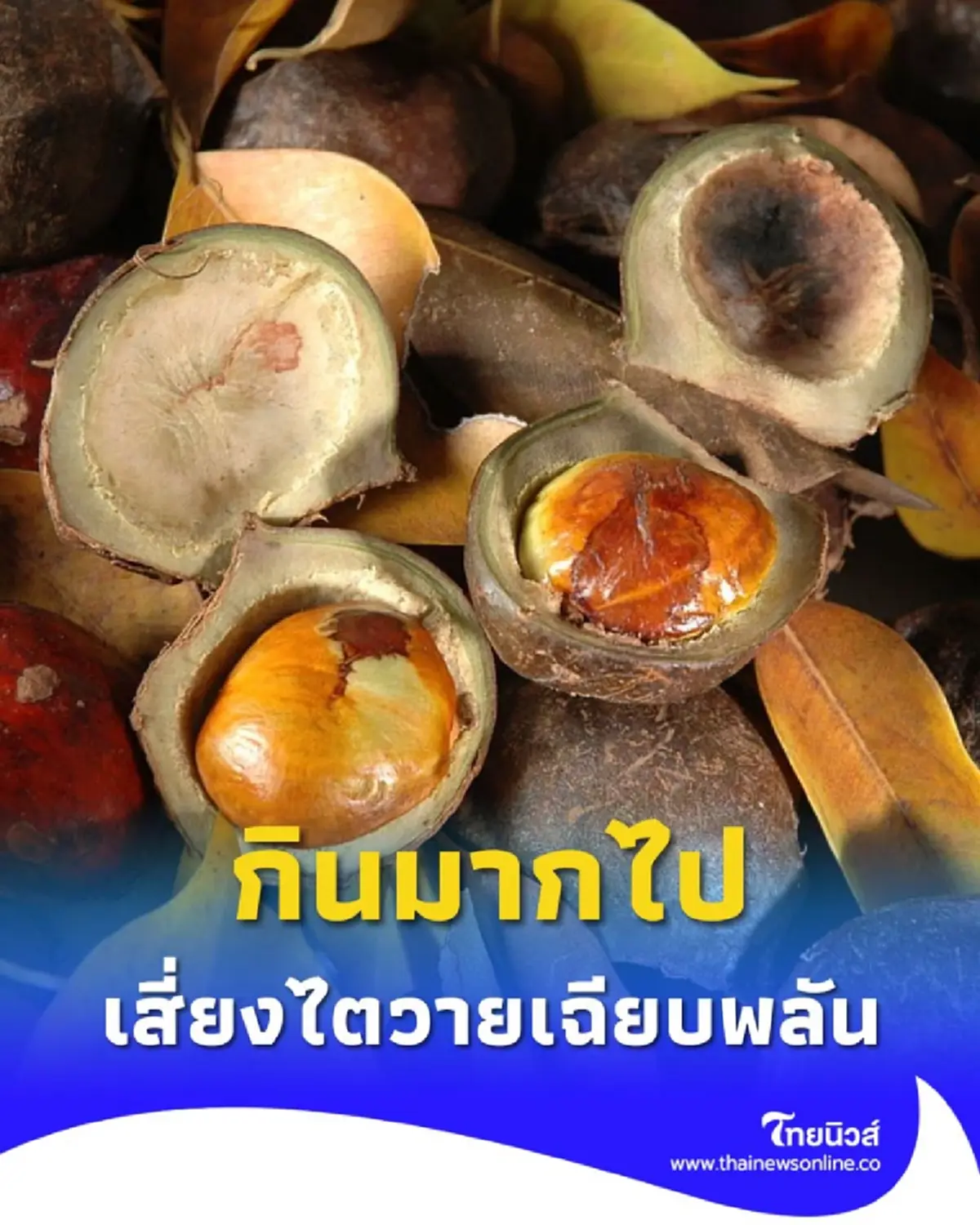 เตือนภัย ลูกเนียงดิบ ของอร่อยที่กินมากไปเสี่ยงไตวายเฉียบพลัน