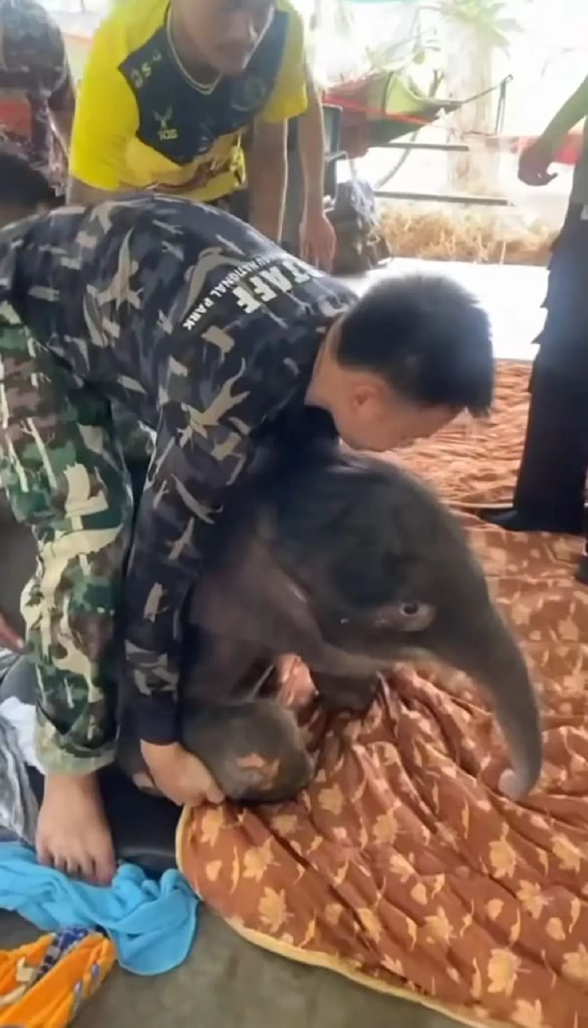 รู้แล้วน้ำตาซึม อัปเดตการรักษา น้องข้าวต้ม ล่าสุดมีข่าวดี