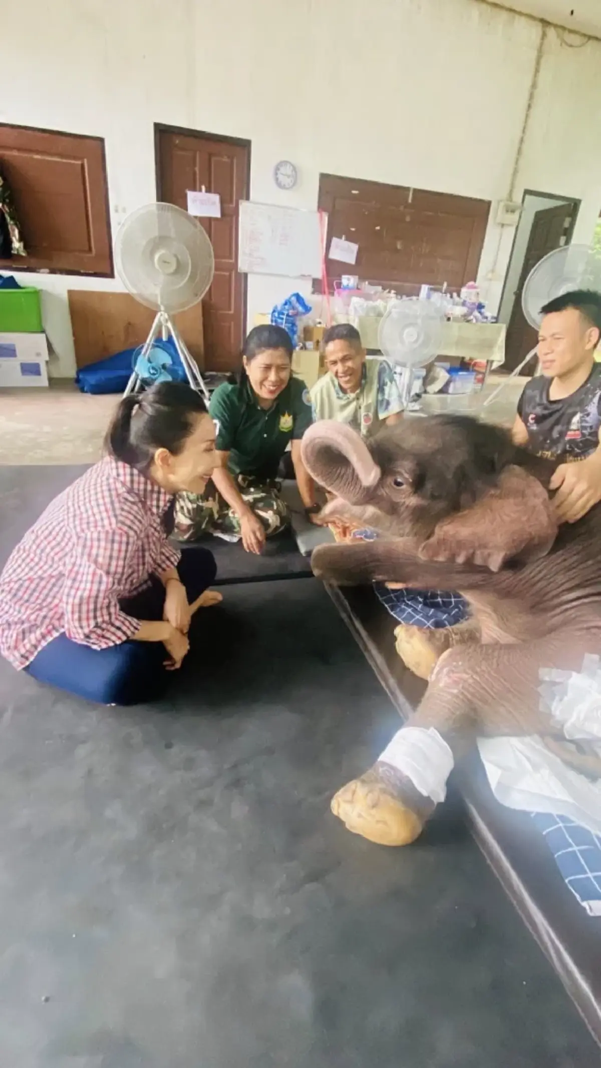 เผยนิสัย น้องข้าวต้ม ลูกช้างพลัดหลง รู้แล้วยิ่งหลงรัก