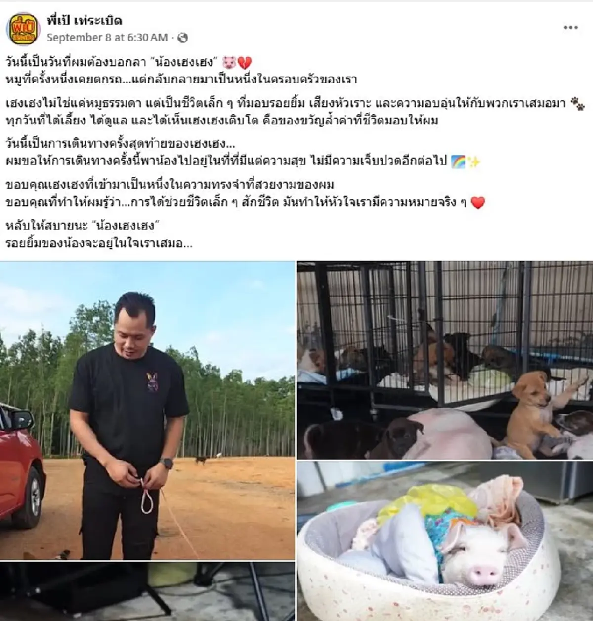 "เฮงเฮง"ลูกหมูโดดลงรถกลางถนน ลาโลกแล้ว เจ้าของเผยสาเหตุเศร้า