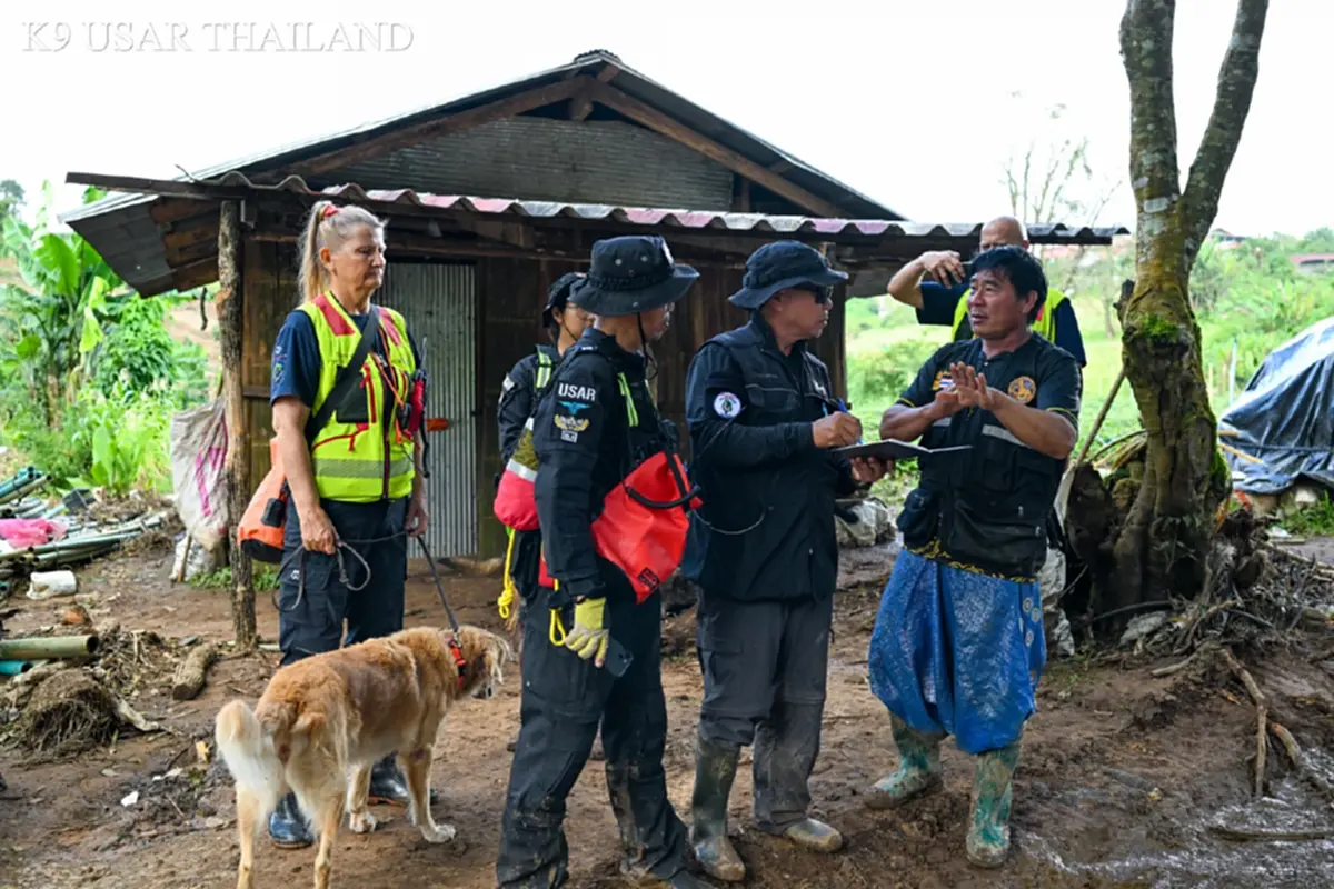 K9 ไม่ท้อ ฝ่าฝนโคลน ลิลลี่-ซาฮาร่า พบร่างผู้สูญหายเพิ่ม