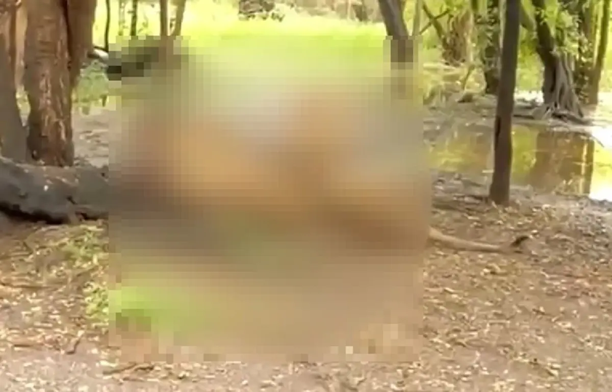 รู้แล้ว สาเหตุเจ้าหน้าที่สวนสัตว์ลงจากรถ ก่อนสิงโตรุมขย้ำดับ