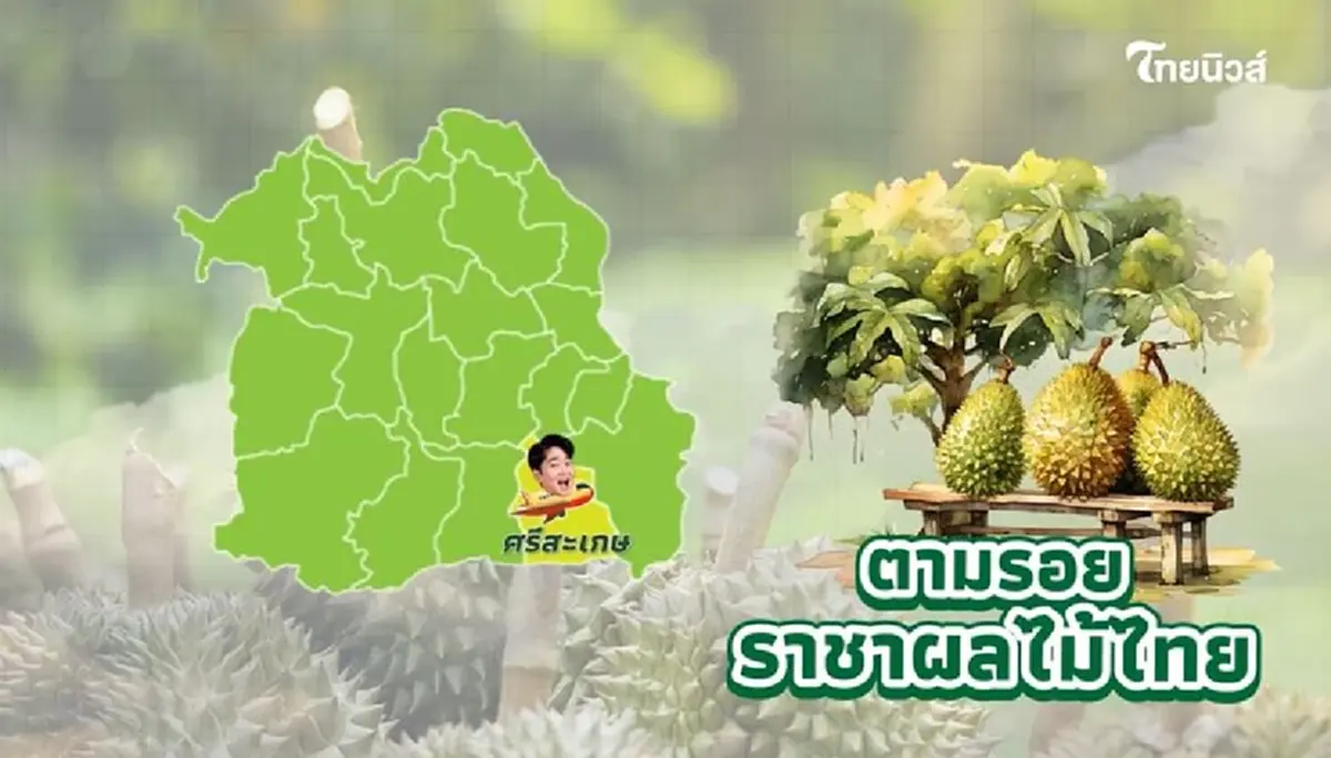 "ทุเรียน"ราชาแห่งผลไม้ไทย กับรหัสลับ GI ที่โลกต้องรู้จัก