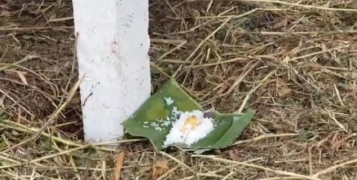 "ซาฟารีเวิลด์" มอบแล้วเยียวยาเบื้องต้น"นายเจียน"เหยื่อสิงโต