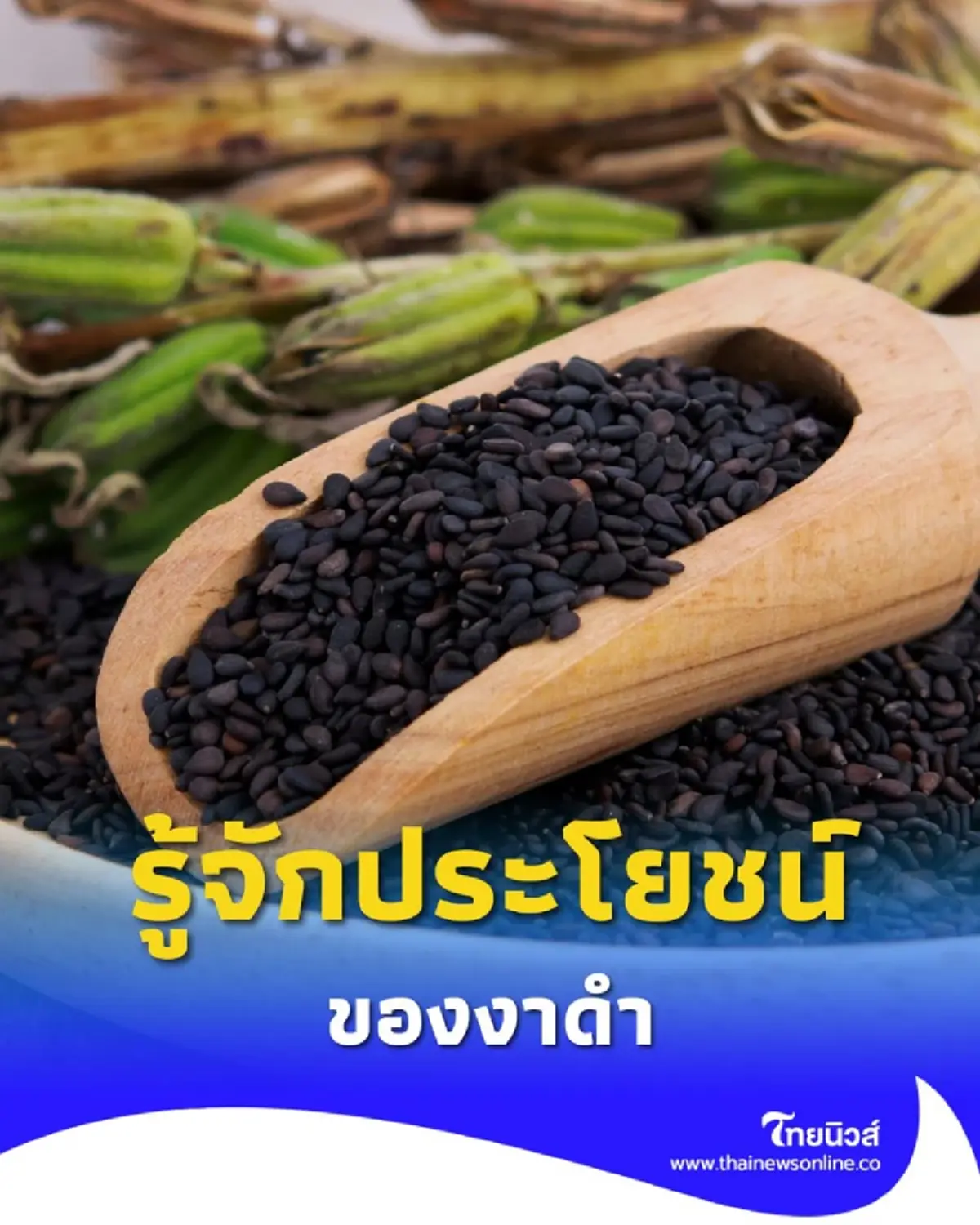 งาดำ รู้ให้ครบทั้งประโยชน์และข้อควรระวังก่อนกินทุกวัน