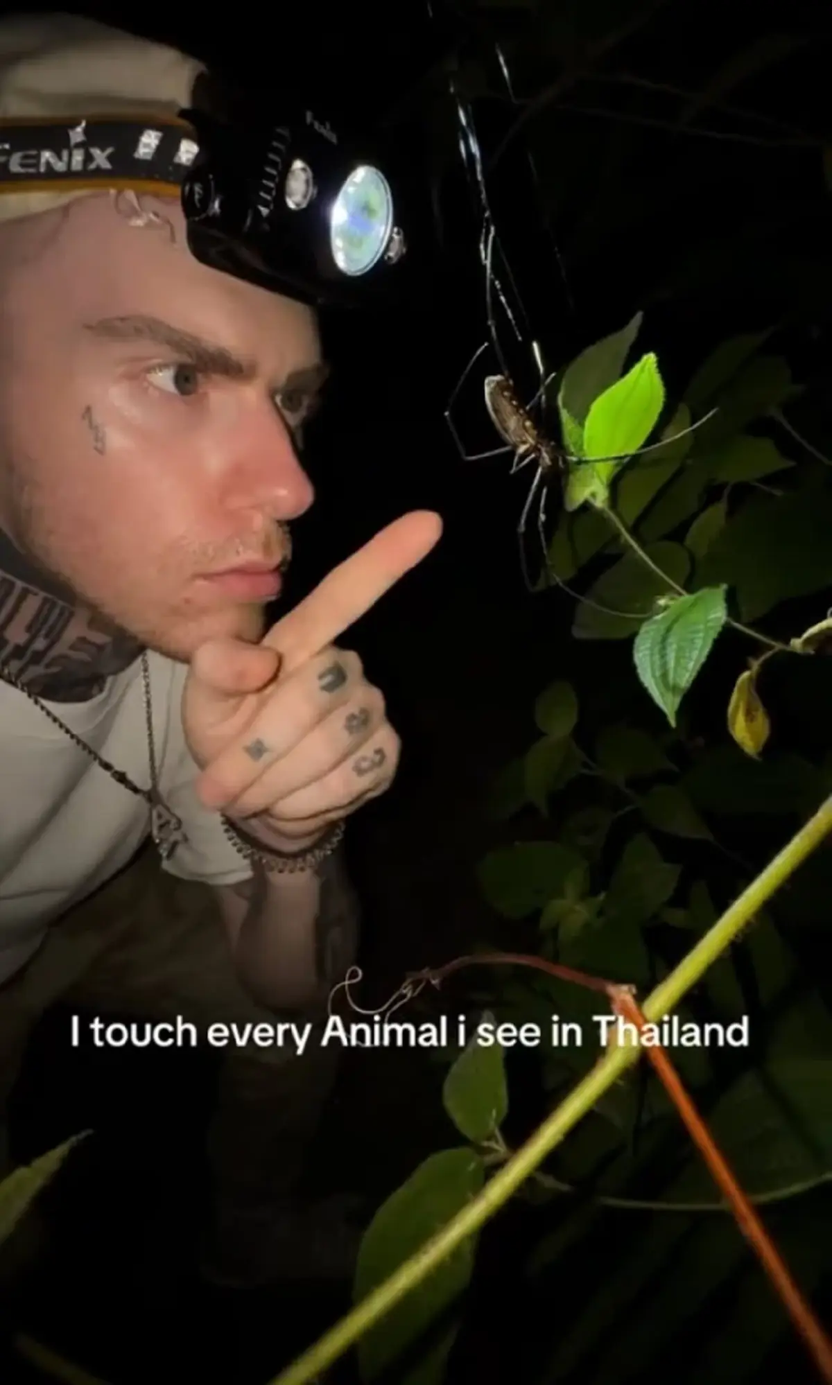 ยูทูบเบอร์หนุ่มเดินป่าจู่ๆ เจอเสือโคร่ง ทุกเสี้ยวนาทีคือชีวิต