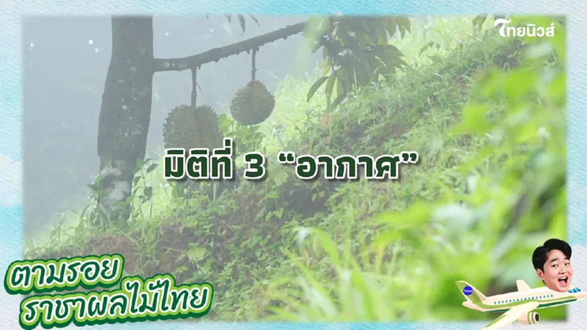 รหัสลับทุเรียนไทย \"GI\" หัวใจ สร้างแบรนด์สู่ตลาดโลก