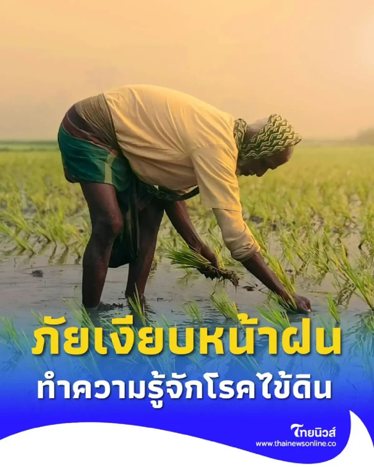 รู้จัก โรคไข้ดิน สาเหตุการเสียชีวิตที่คนไทยไม่ค่อยรู้จัก