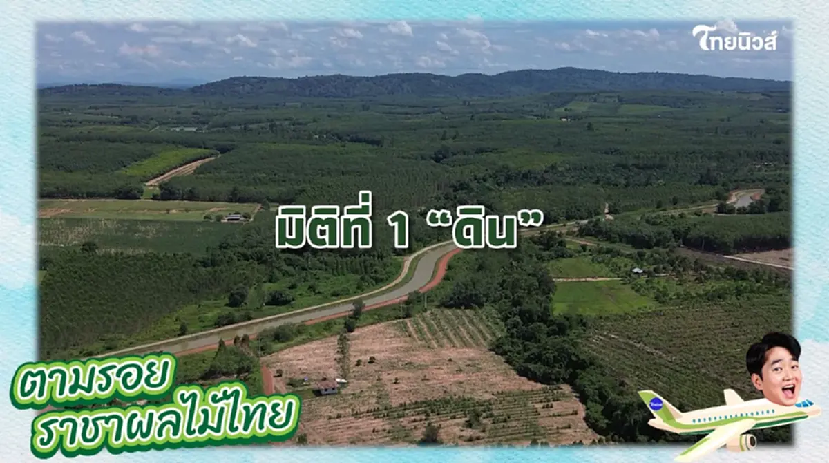 รหัสลับทุเรียนไทย \"GI\" หัวใจ สร้างแบรนด์สู่ตลาดโลก