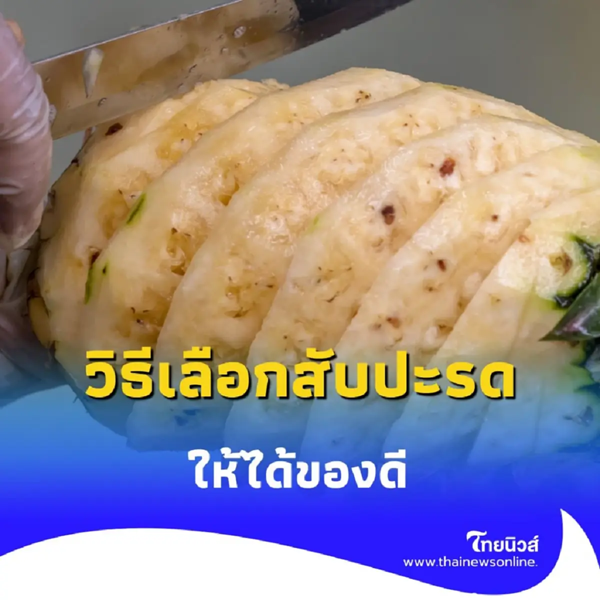 เทคนิคซื้อสับปะรดให้ได้ของดี พร้อมเตือนระวัง โรคผลแกน