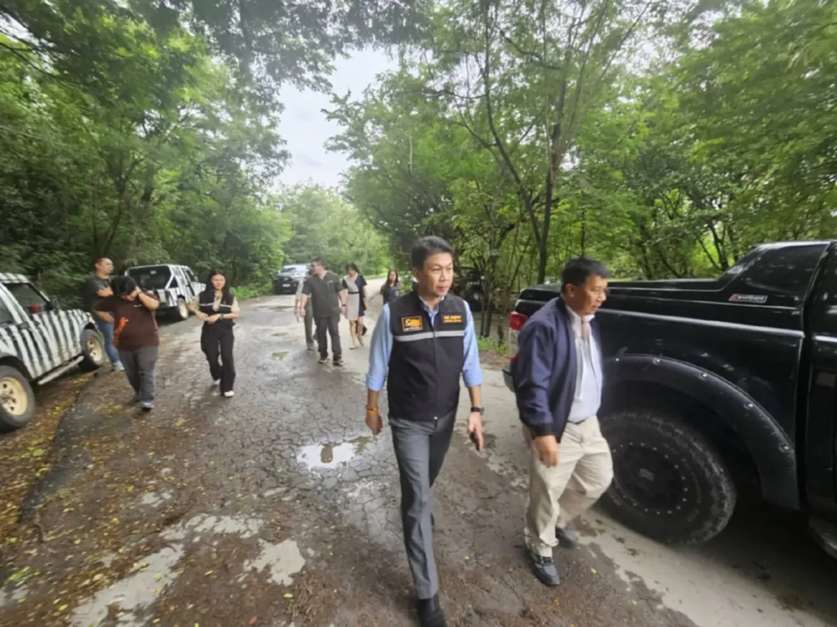 กรมอุทยานฯ สั่งปิดโซนสัตว์ดุร้าย เร่งสอบสิงโตซาฟารีเวิลด์ 32 ตัว