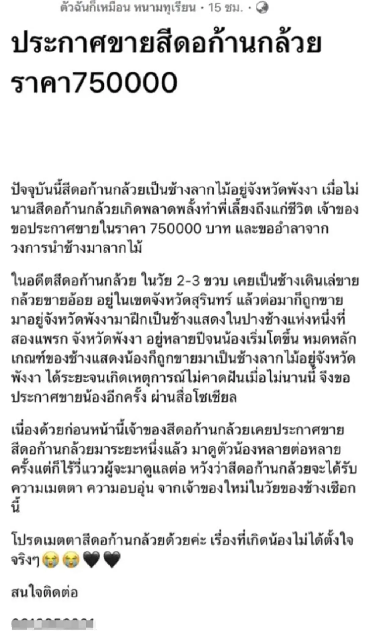 สีดอก้านกล้วย ได้บ้านใหม่แล้ว พร้อมเผยชีวิตต่อจากนี้