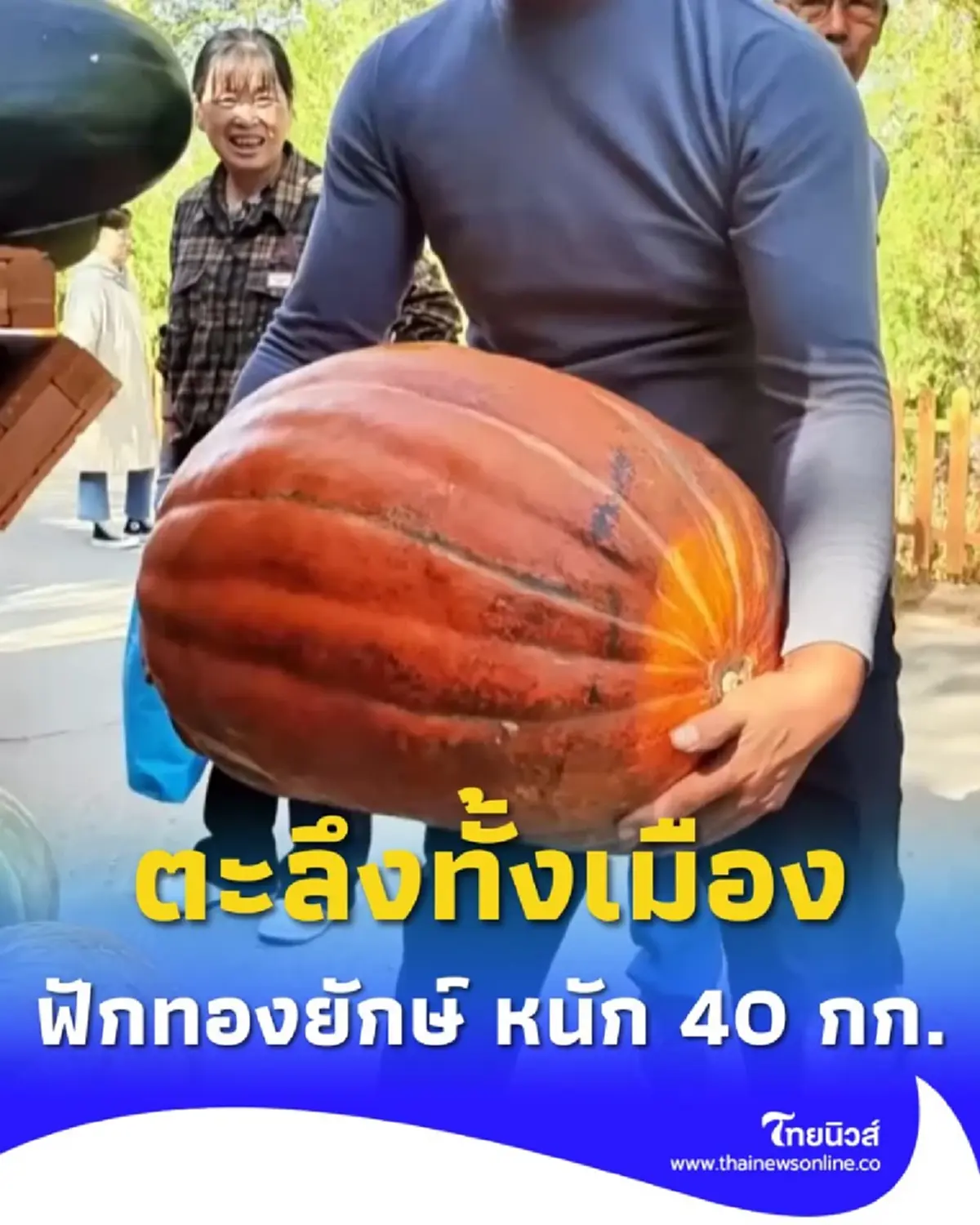 โชว์ความสำเร็จ เกษตรกรจีนทำได้ ฟักทองยักษ์ หนักทะลุ 40 กก.