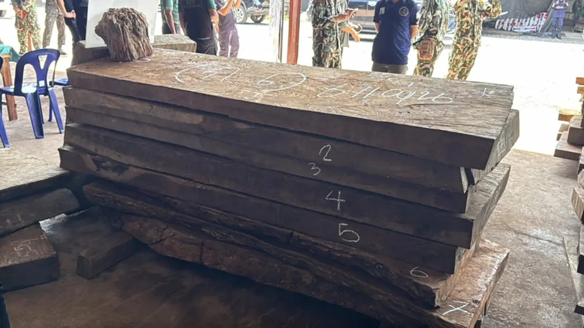 ยึดไม้ประดู่ 14 ล้าน ไม้เถื่อนข้ามชาติ ล่าหัวใหญ่- จนท.รัฐเอี่ยว