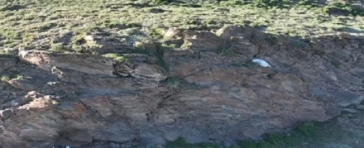 พบหินจารึกโบราณ มีอายุประมาณ 2,000 ปี บนที่ราบสูงทิเบต ยุคราชวงศ์ฉิน