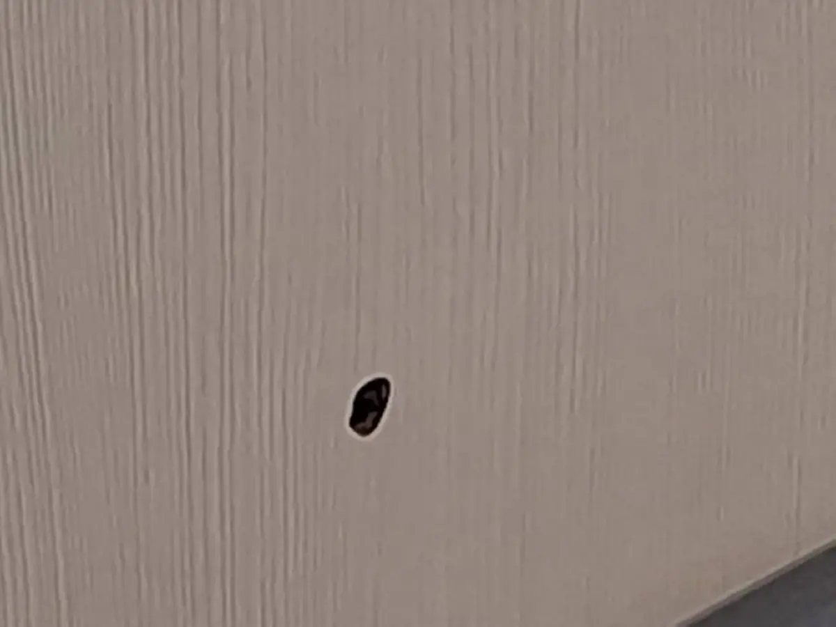 ตร.บุกจับ หนุ่มปืนดุ โมโหแฟน ยิงทะลุห้องเพื่อนบ้าน โดนไป 3 ข้อหา