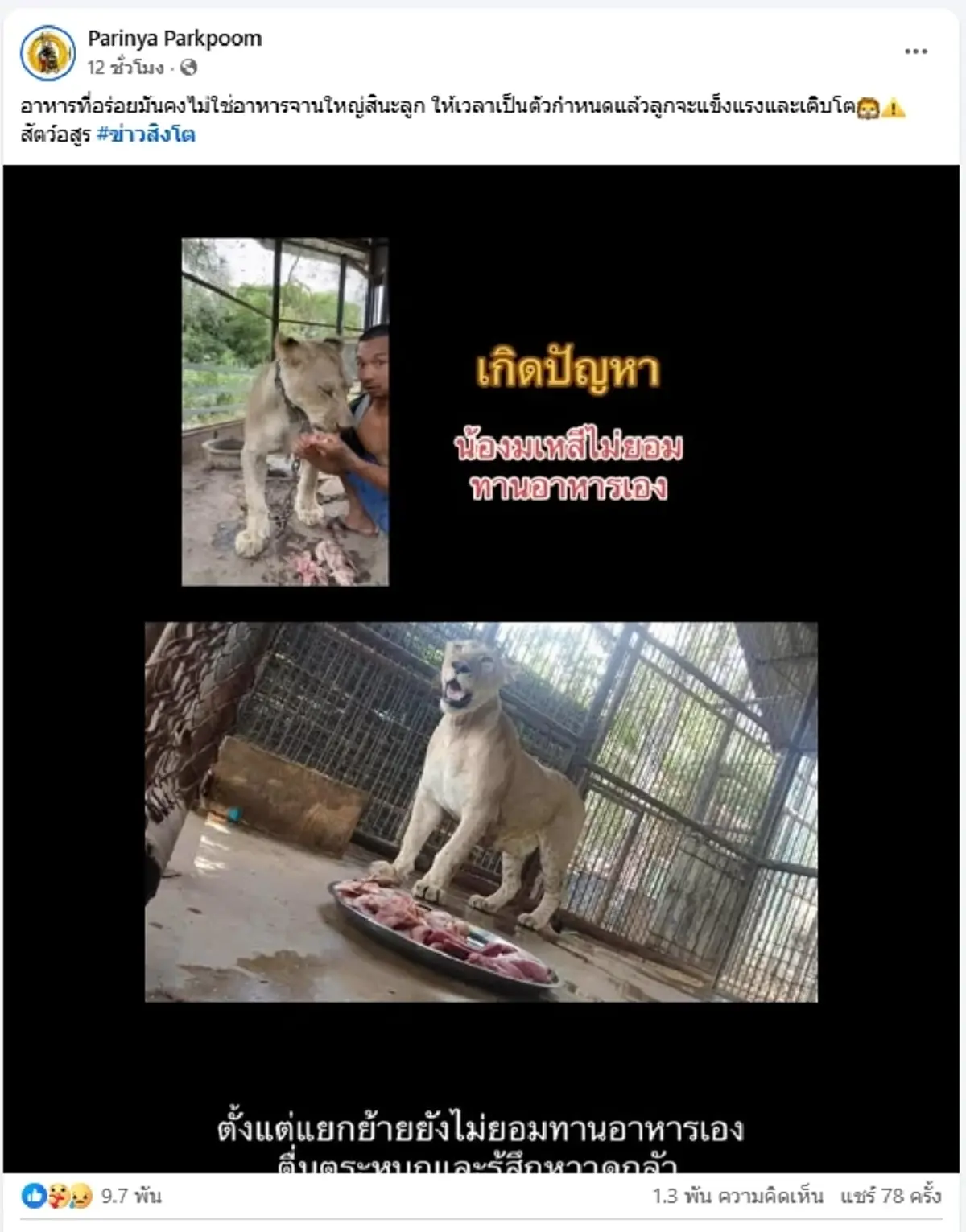 น่าห่วง อาการ"มเหสี"ล่าสุดเกิดปัญหาแล้ว เจ้าของโพสต์เศร้า