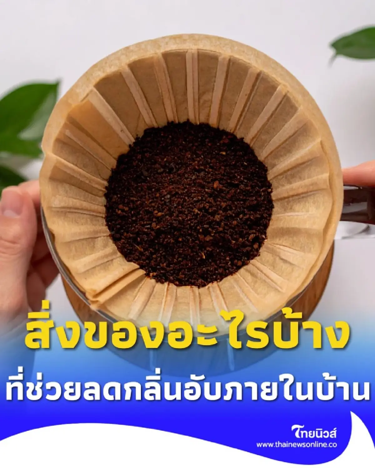 สิ่งของอะไรบ้างที่ช่วยลดกลิ่นอับภายในบ้าน หาง่ายและปลอดภัย