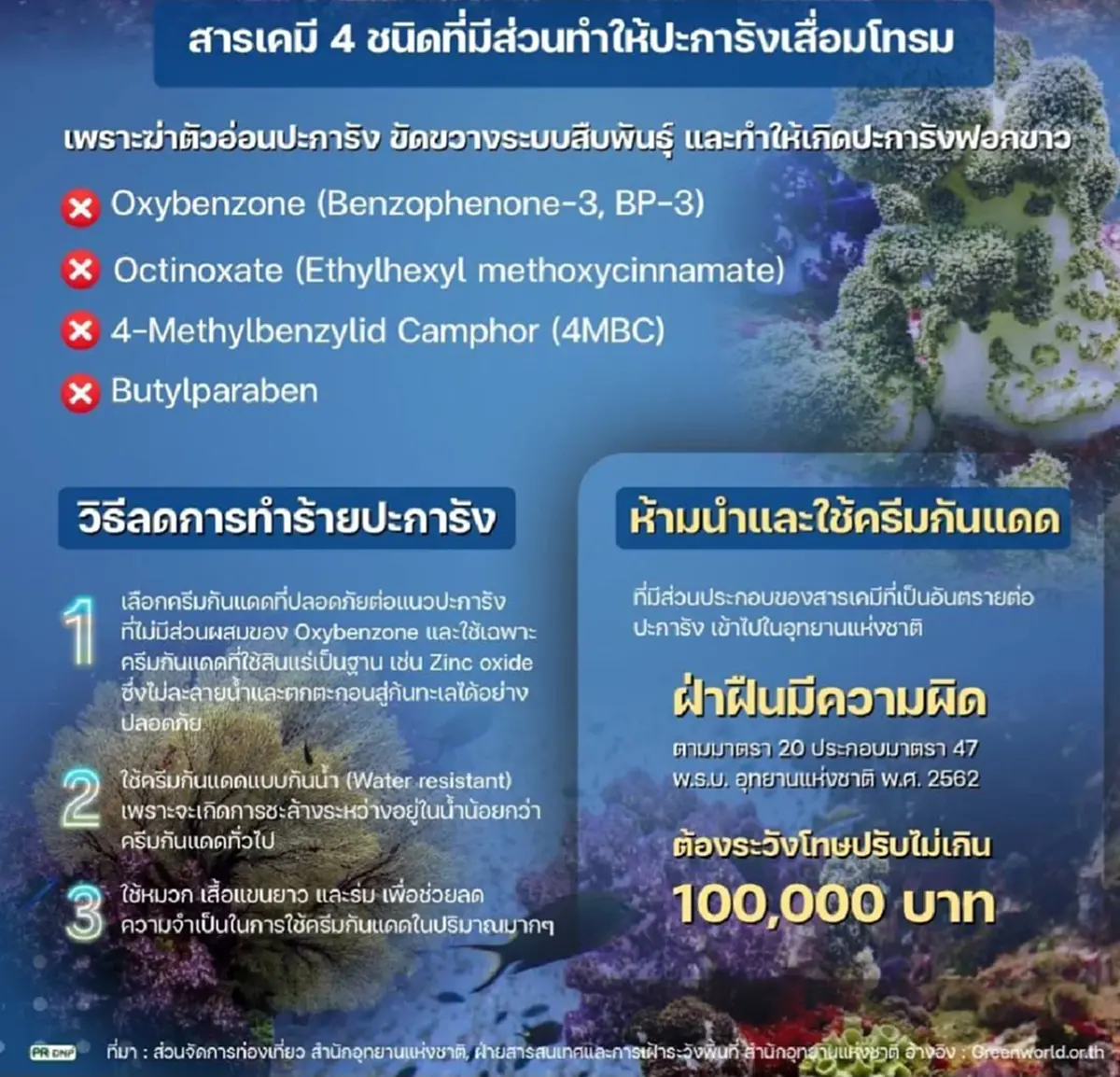ปรับอ่วม 1 แสน! เตือน"นทท." ห้ามใช้ครีมกันแดดมีสารทำลายปะการัง