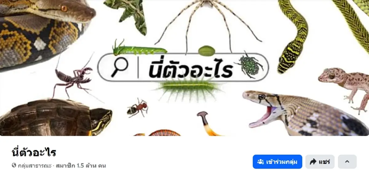 โซเชียลแห่อาลัย ผู้ก่อตั้งกลุ่มดัง นี่ตัวอะไร เสียชีวิตแล้ว