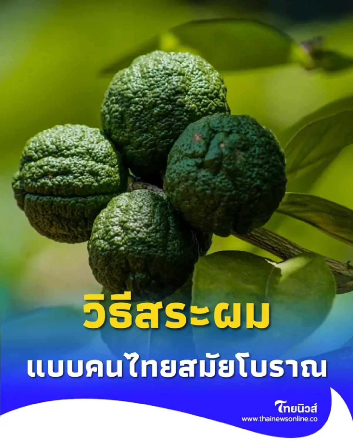 วิธีสระผมแบบคนไทยสมัยโบราณ เขาใช้อะไรในการดูแลเส้นผม