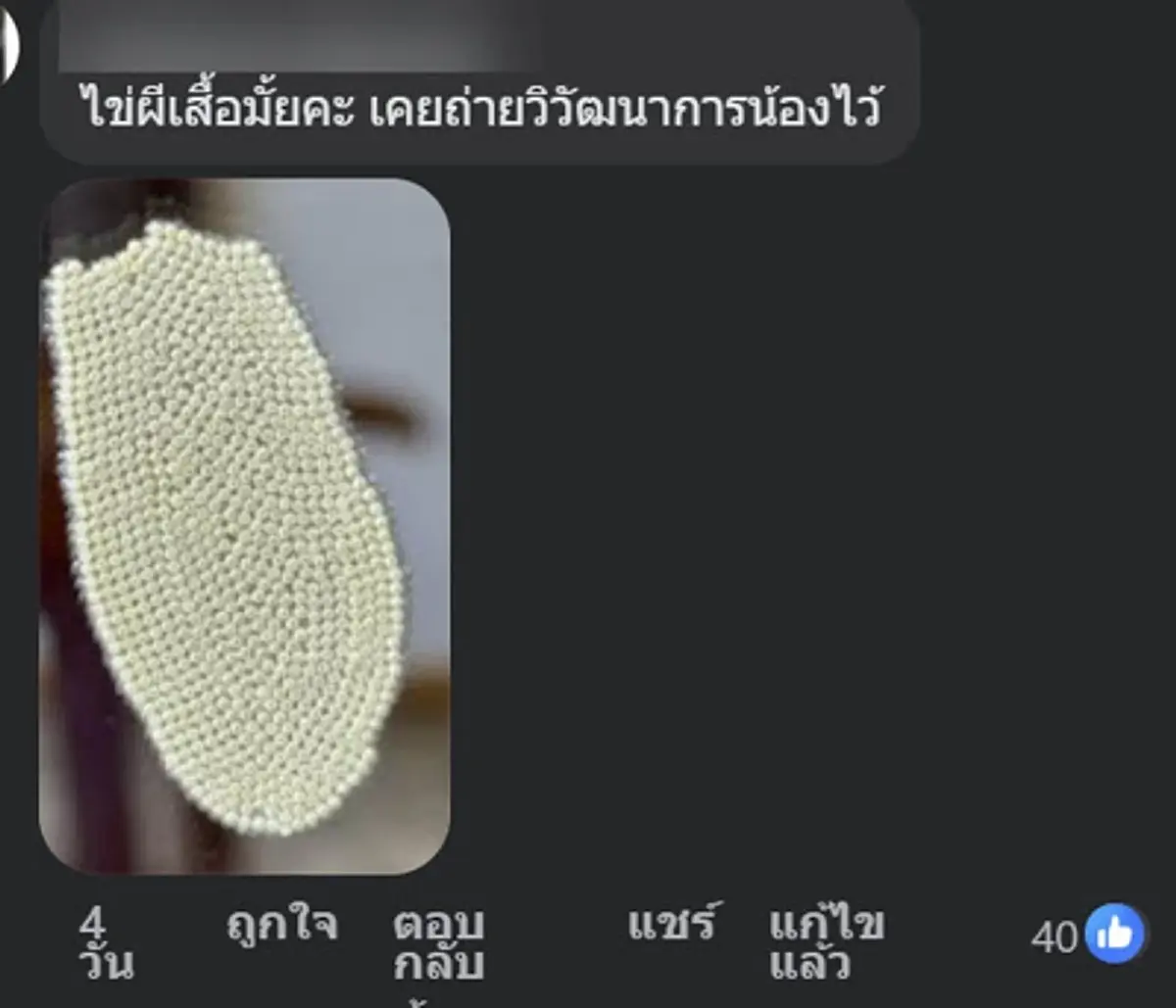 ไข่ปริศนาติดผนังบ้าน ซูมดูยิ่งขนลุก ก่อนผู้รู้เฉลย คนเดาไม่ถูก